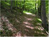 Podkorita - Bitenjska planina